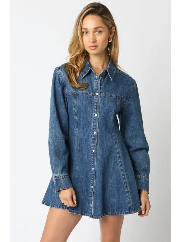 Angelina Denim Button Dress L