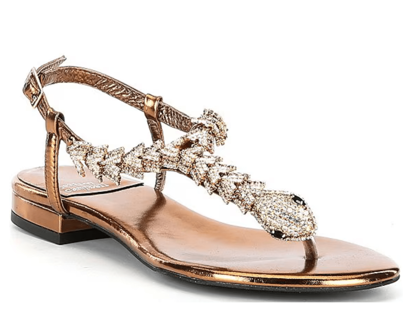 Jeffrey Campbell: Kaa - J. Cole Shoes