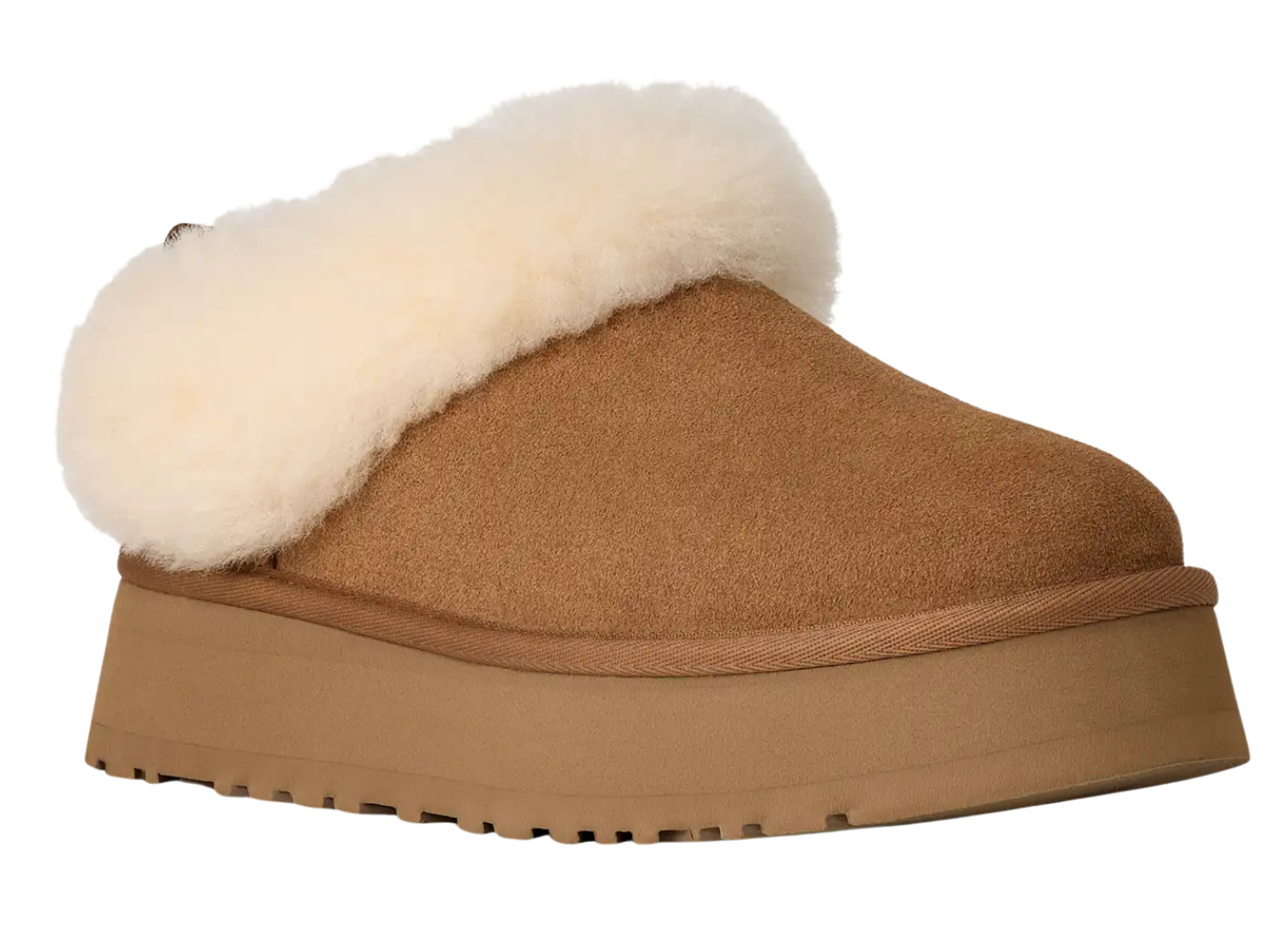 Ugg: Tazelle in Chestnut J.Cole Shoes Tulsa Stillwater