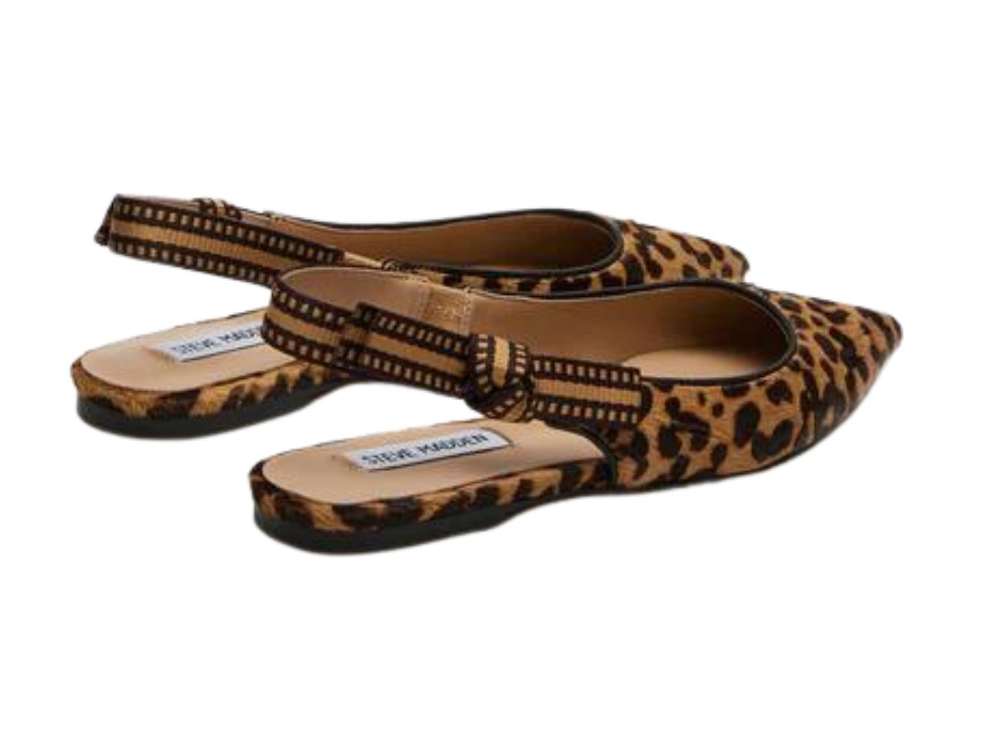 Steve Madden: Olsen in Leopard - J. Cole ShoesSTEVE MADDENSteve Madden: Olsen in Leopard