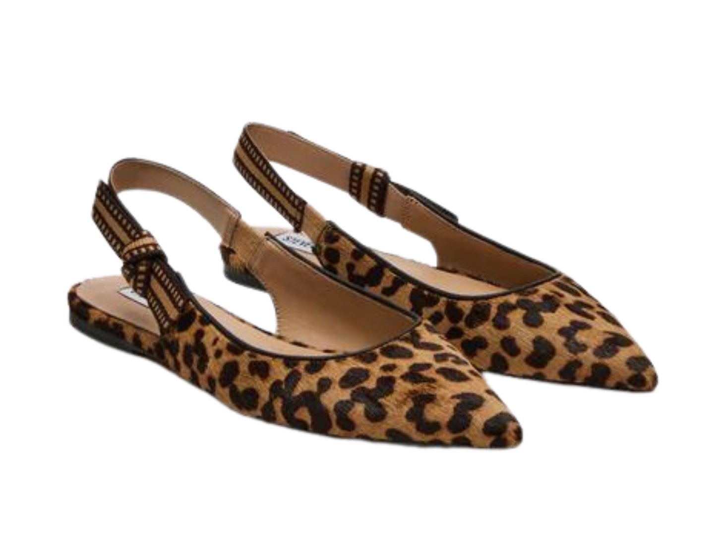 Steve Madden: Olsen in Leopard Cole Shoes - Main Image