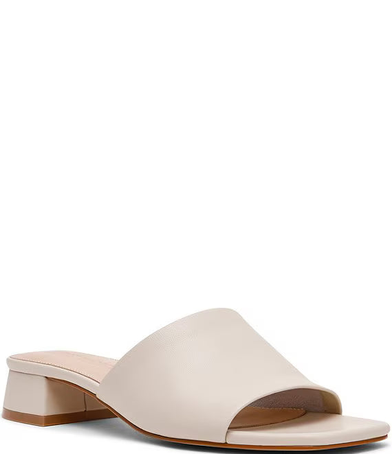 Steve Madden: Montgomery in Bone