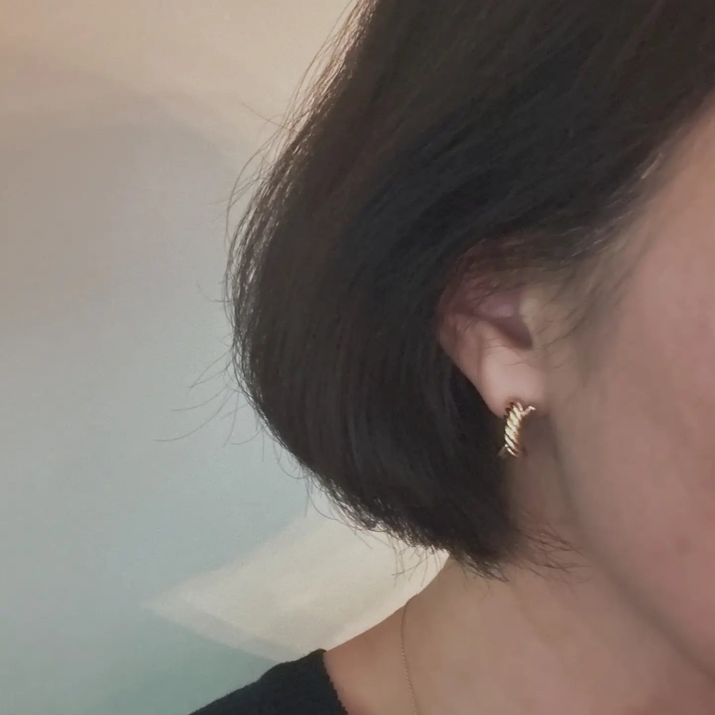 Ellison + Young: Lean On Two Tone Earrings
