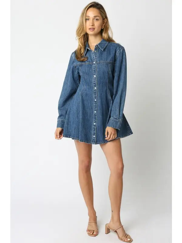 olivaceous denim dress Denim days done right Loving the effortless charm of the Olivaceous Denim Pleated Maxi Dress on @lightandlifestyled ! #denimdress #denim #springstyles #over40fashion #momstyle #teacheroutfit