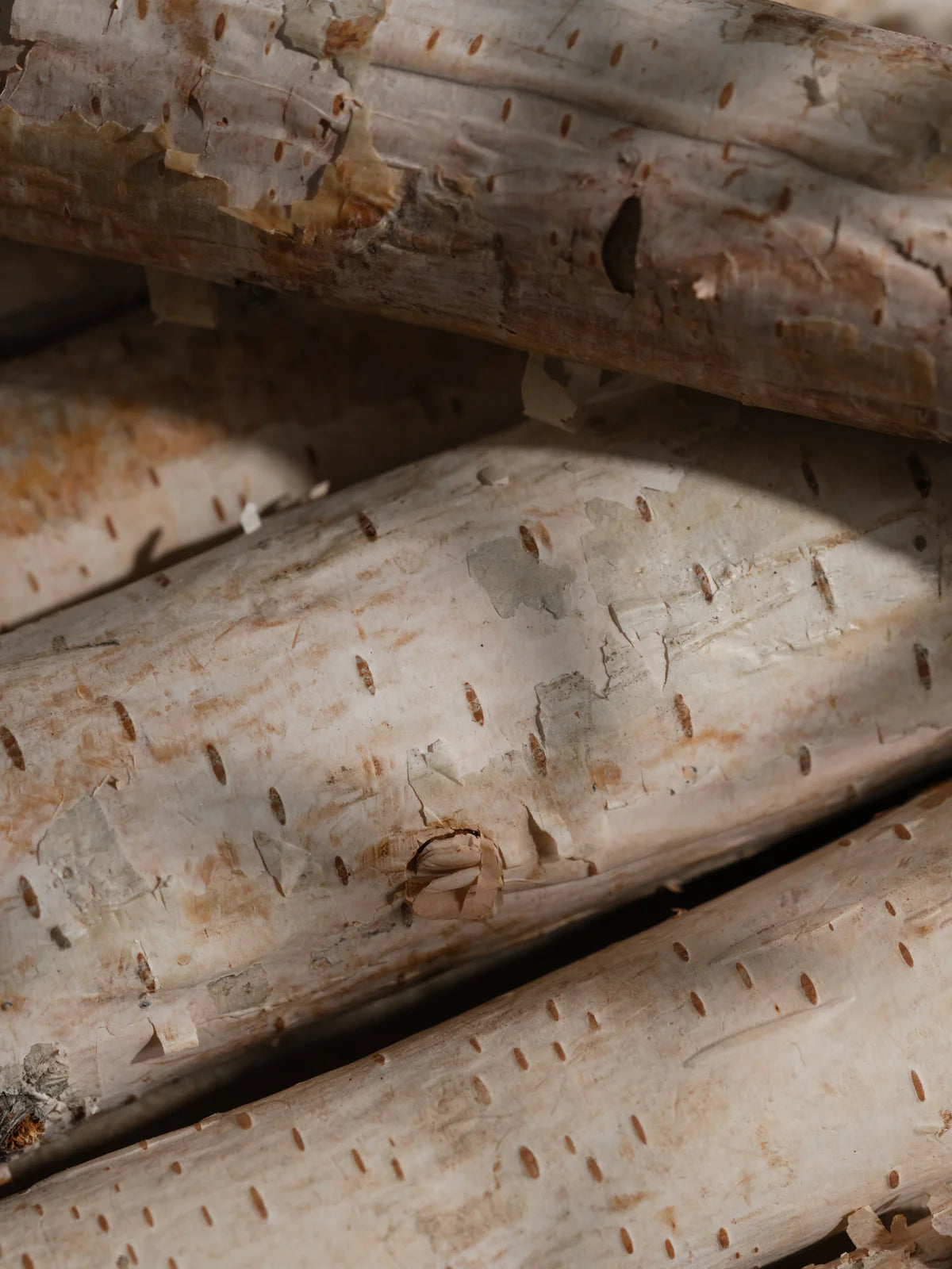 Pura: Banana Birch Smart Vial