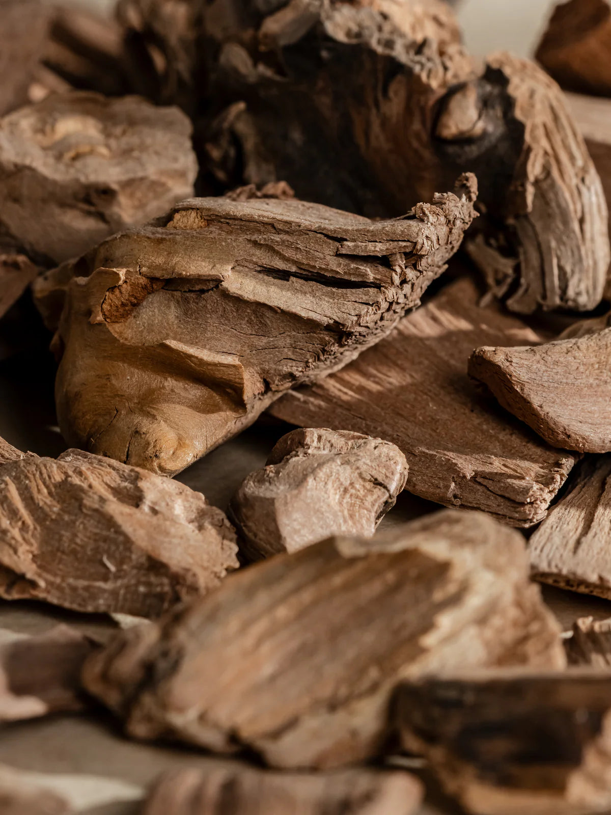 Pura: Evergreen in Snow