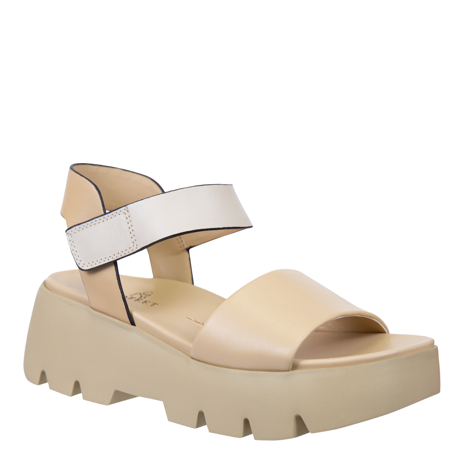 ALLOY in BEIGE