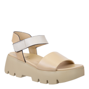 ALLOY in BEIGE