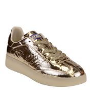 BOSTON 2508 in GOLD