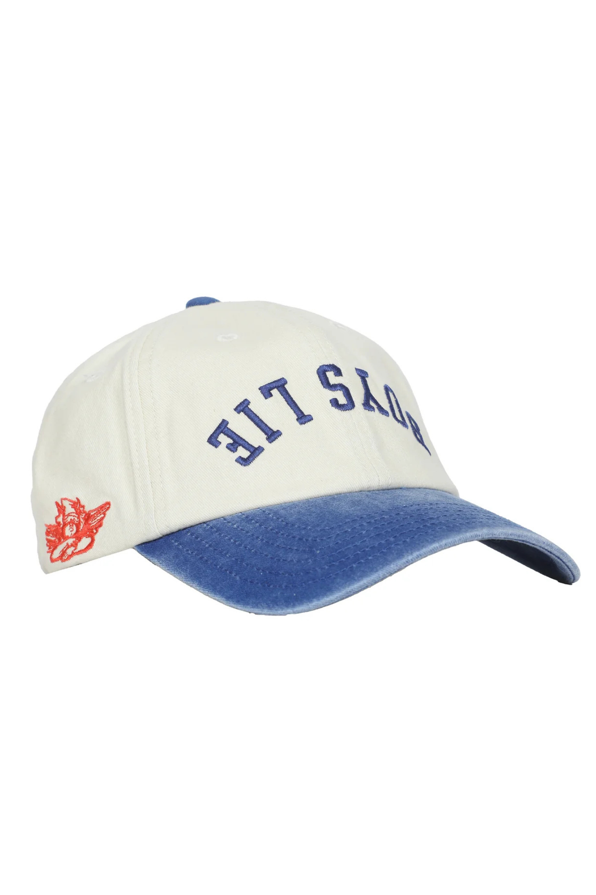 Boy's Lie Main Line Dad Hat