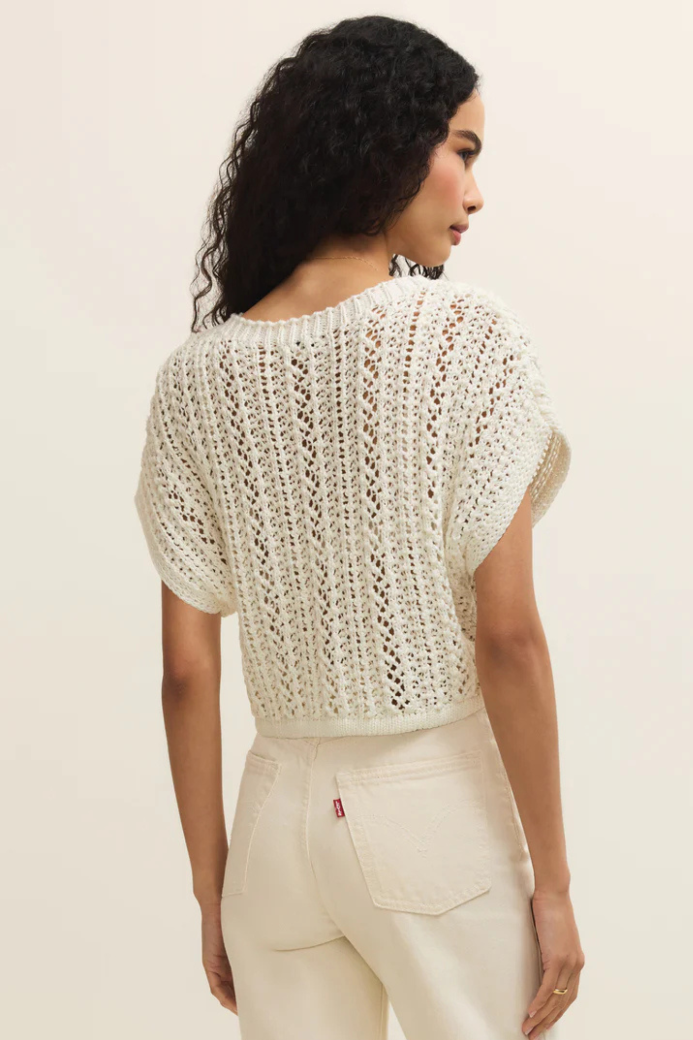 Z Supply: Ballast Crochet Top in White