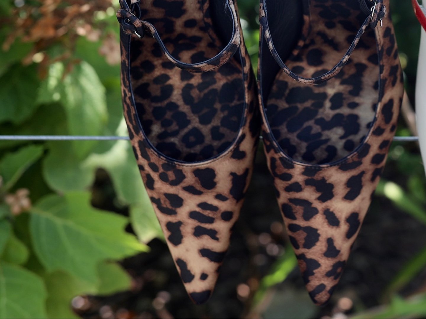 Jeffrey Campbell: Tiyera in Cheetah Satin - J. Cole Shoes