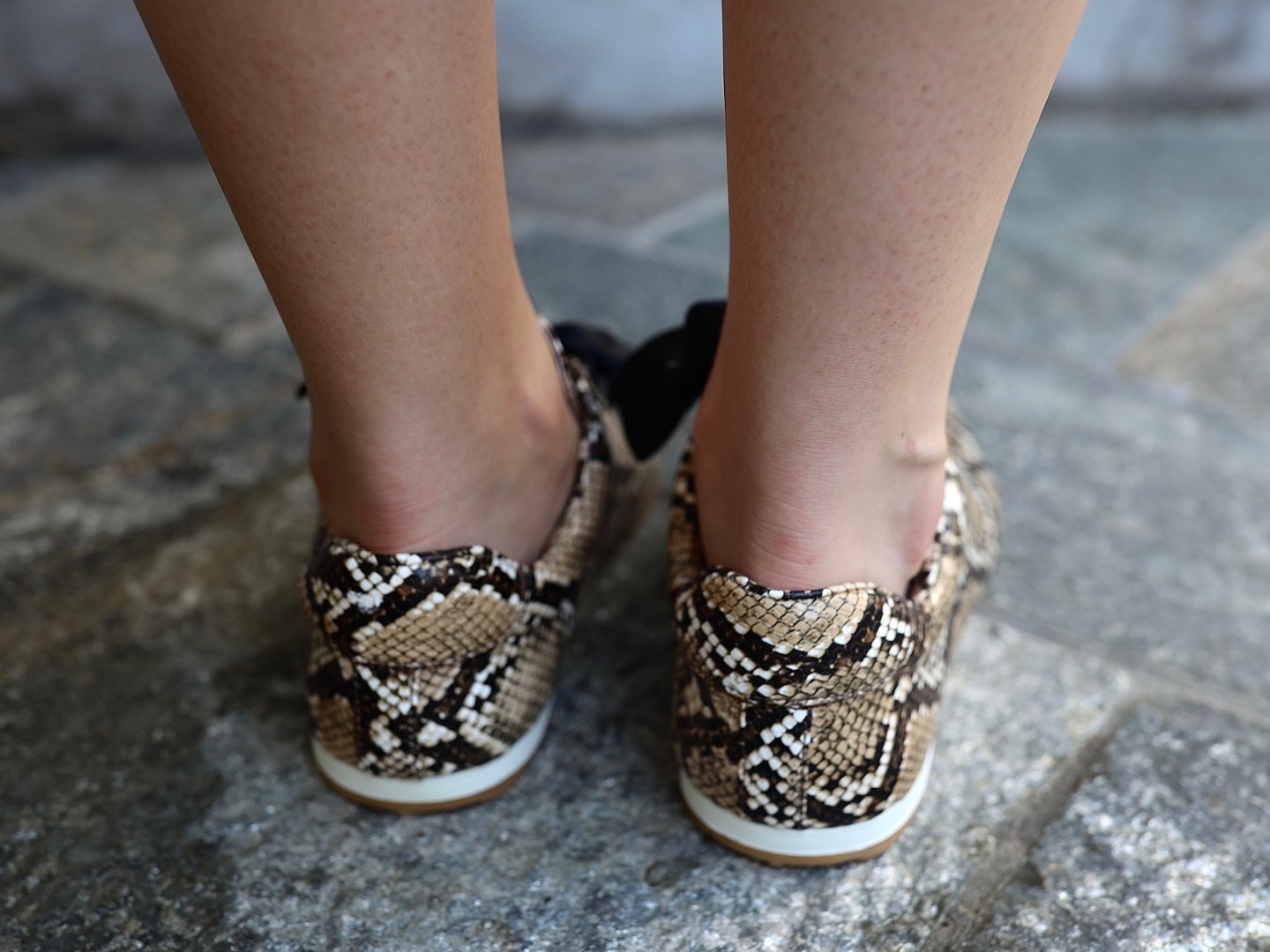 Jeffrey Campbell: Winged in Beige & Black Snake - J. Cole ShoesJEFFREY CAMPBELLJeffrey Campbell: Winged in Beige & Black Snake