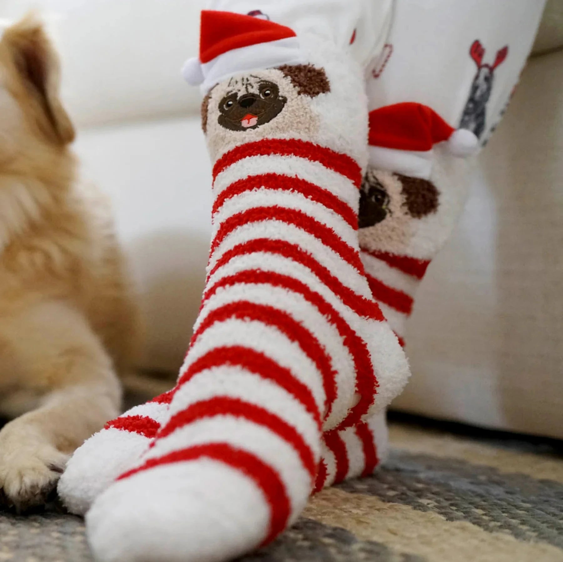 PJ Salvage: Holiday Pug Fun Socks - J. Cole ShoesPJ SALVAGEPJ Salvage: Holiday Pug Fun Socks