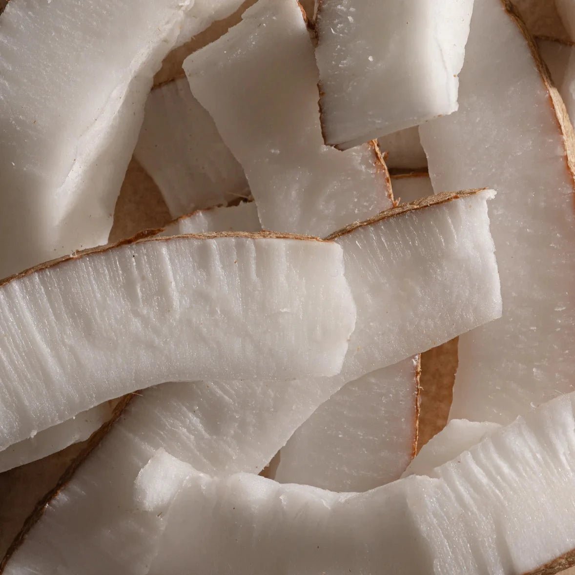 Pura: Car Refill in Coconut Milk Mango - J. Cole ShoesPuraPura: Car Refill in Coconut Milk Mango