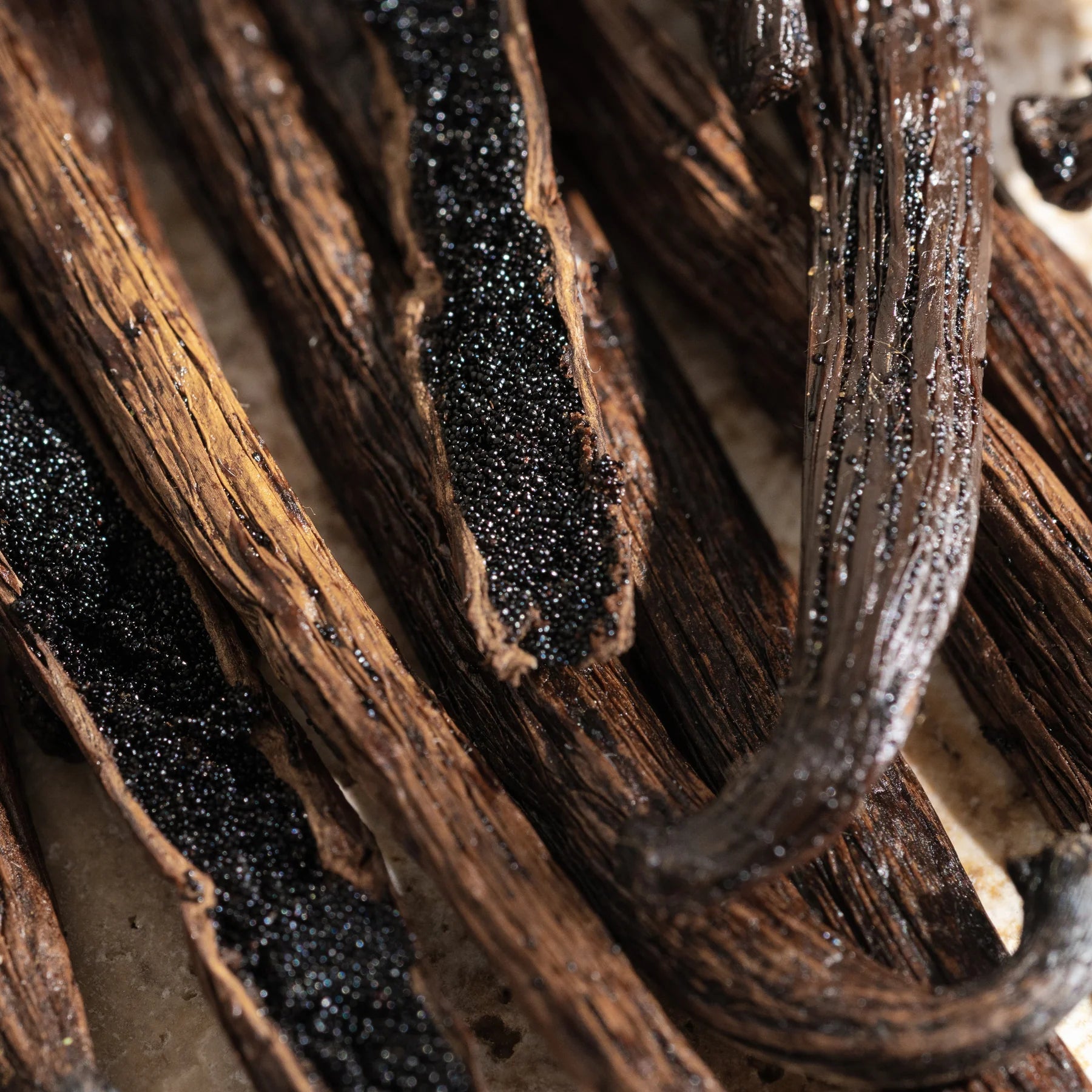 Pura: Allos Cardamom Vanilla Smart Vial