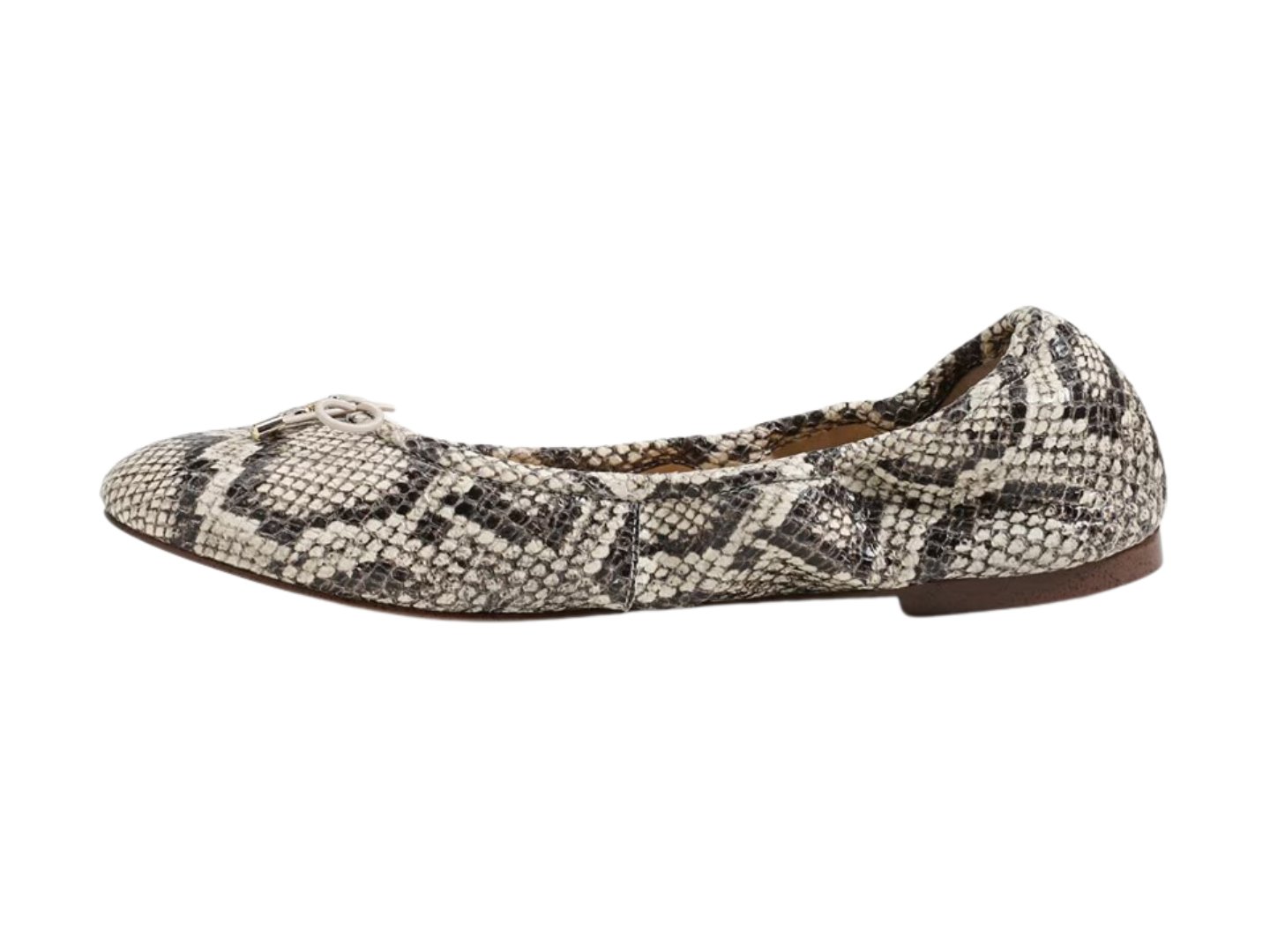 Sam Edelman: Felicia in Roccia Snake Print - J. Cole ShoesSAM EDELMANSam Edelman: Felicia in Roccia Snake Print