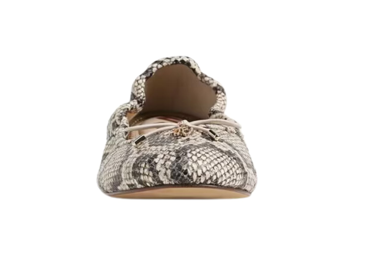 Sam Edelman: Felicia in Roccia Snake Print - J. Cole Shoes