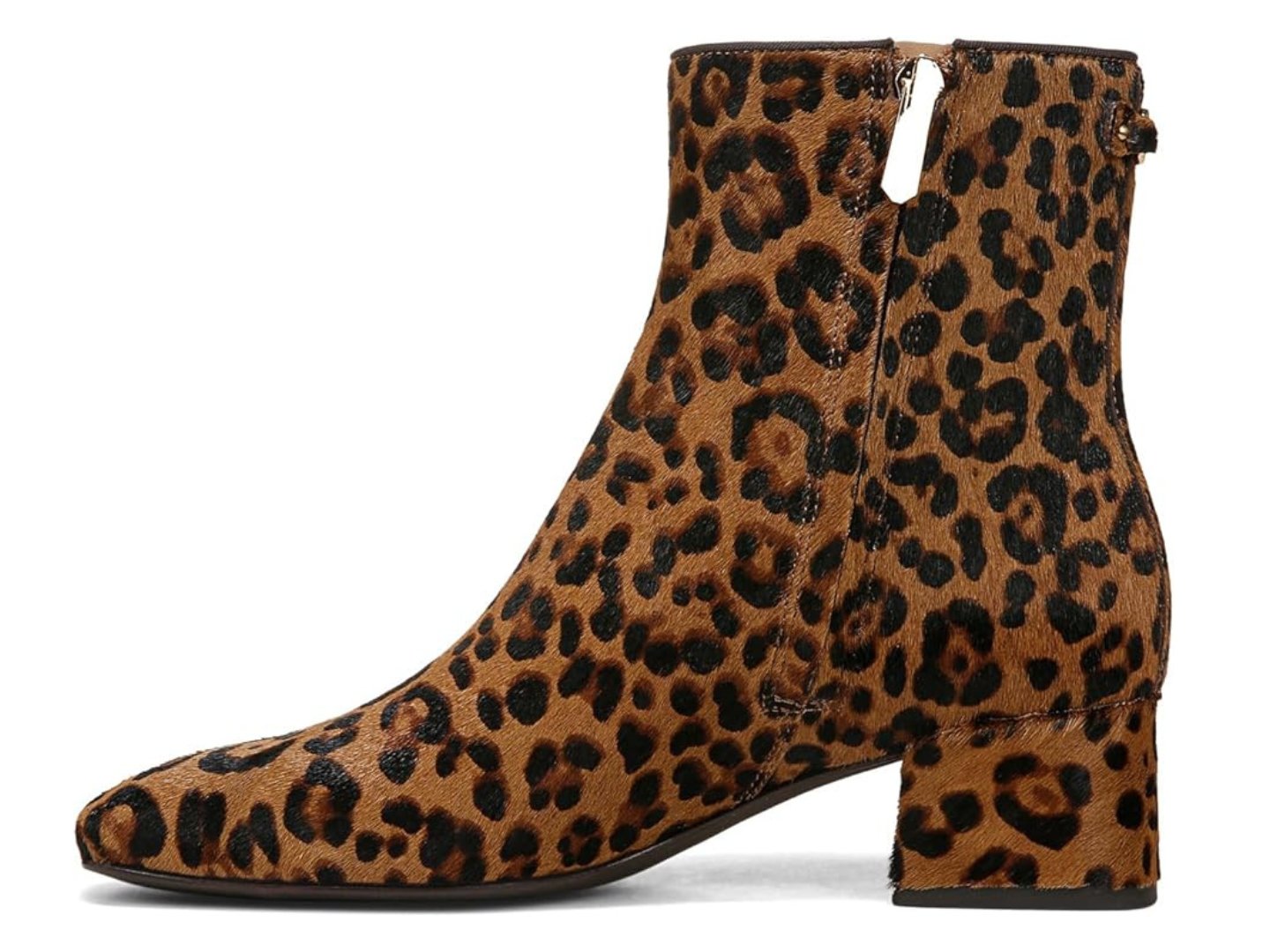 Sam Edelman: Paige 2 in Tan Leopard - J. Cole ShoesSAM EDELMANSam Edelman: Paige 2 in Tan Leopard