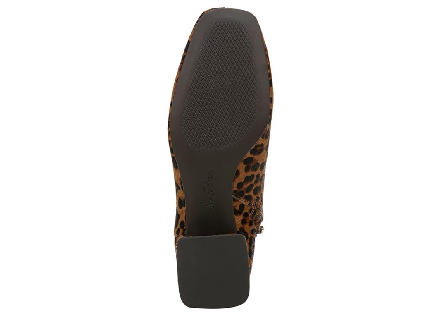 Sam Edelman: Paige 2 in Tan Leopard - J. Cole ShoesSAM EDELMANSam Edelman: Paige 2 in Tan Leopard
