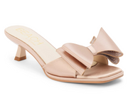 Matisse: Holland in Natural