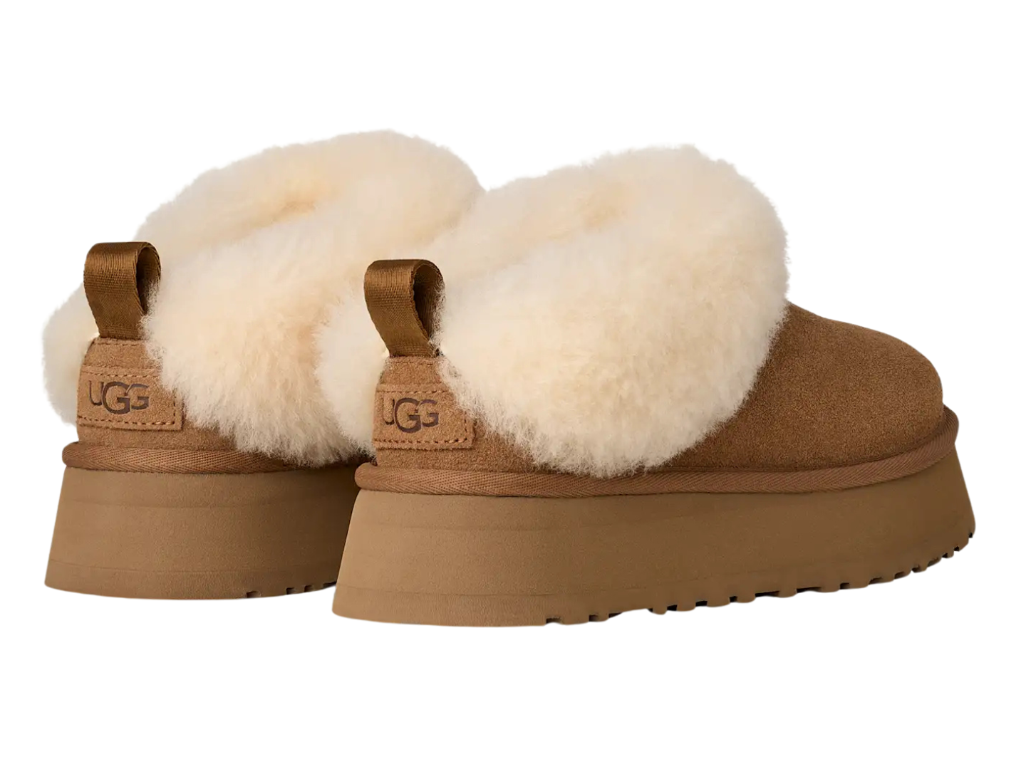 Ugg: Tazelle in Chestnut J.Cole Shoes Tulsa Stillwater 
