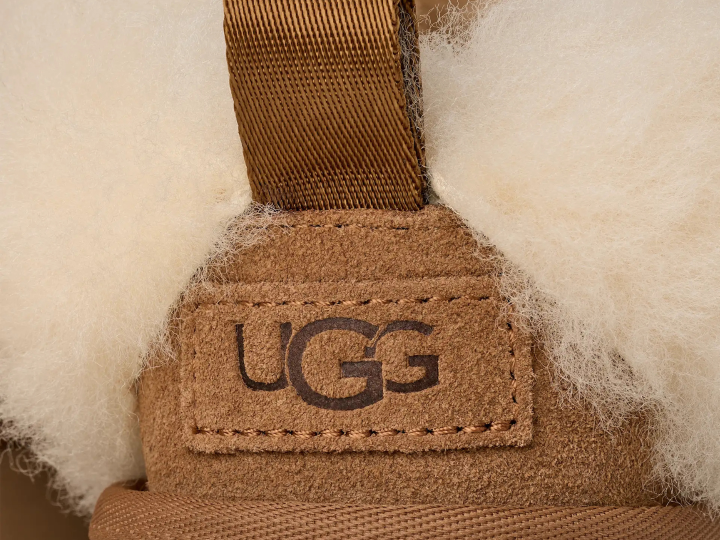 Ugg: Tazelle in Chestnut J.Cole Shoes Tulsa Stillwater 