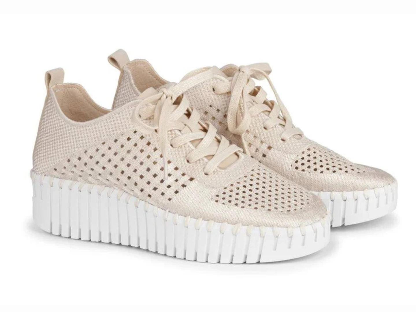 Ilse Jacobsen: Tulip 4271