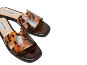 Madden Girl: Haileyy in Tortoise