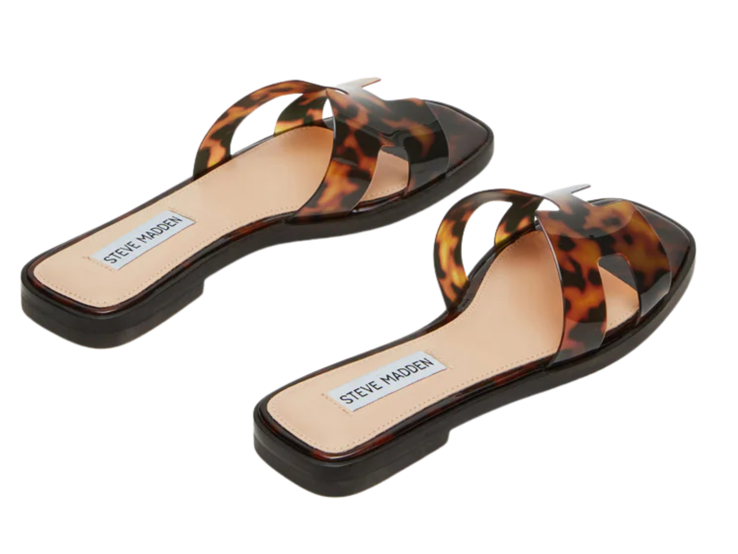 Madden Girl: Haileyy in Tortoise