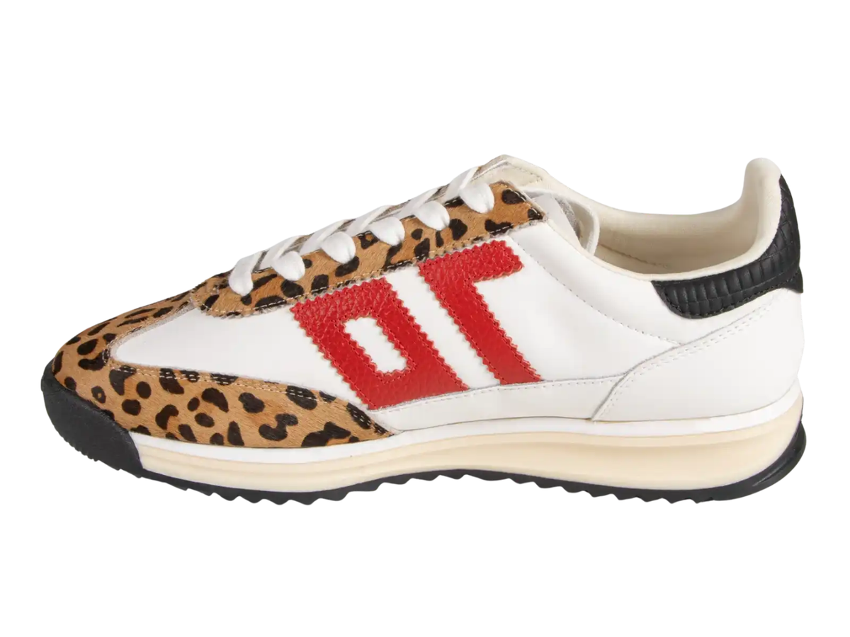 animal print back 70 at jcole shoes tulsa
