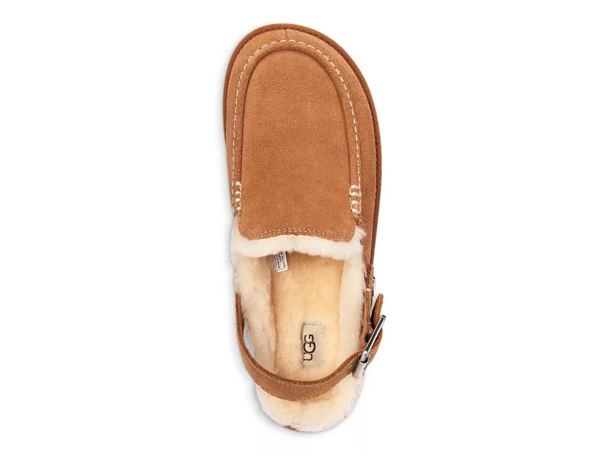 Ugg Women's Goldenstar Evelina Clog in Chestnut