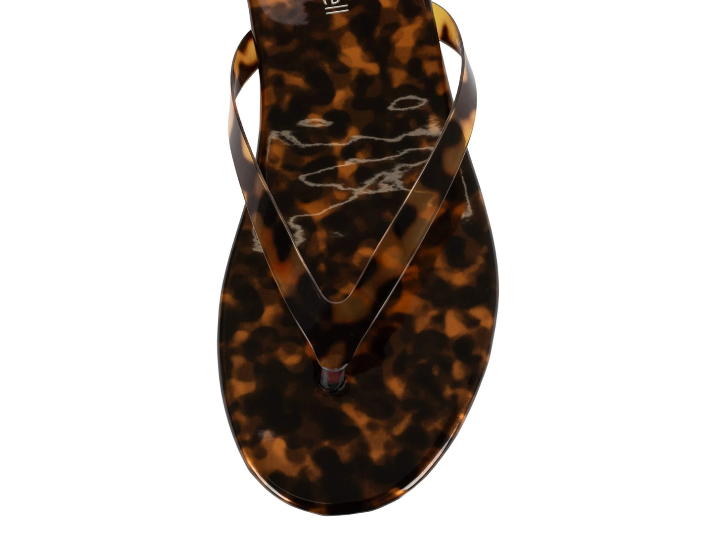 Jeffrey Campbell: Kierra in Tortoise