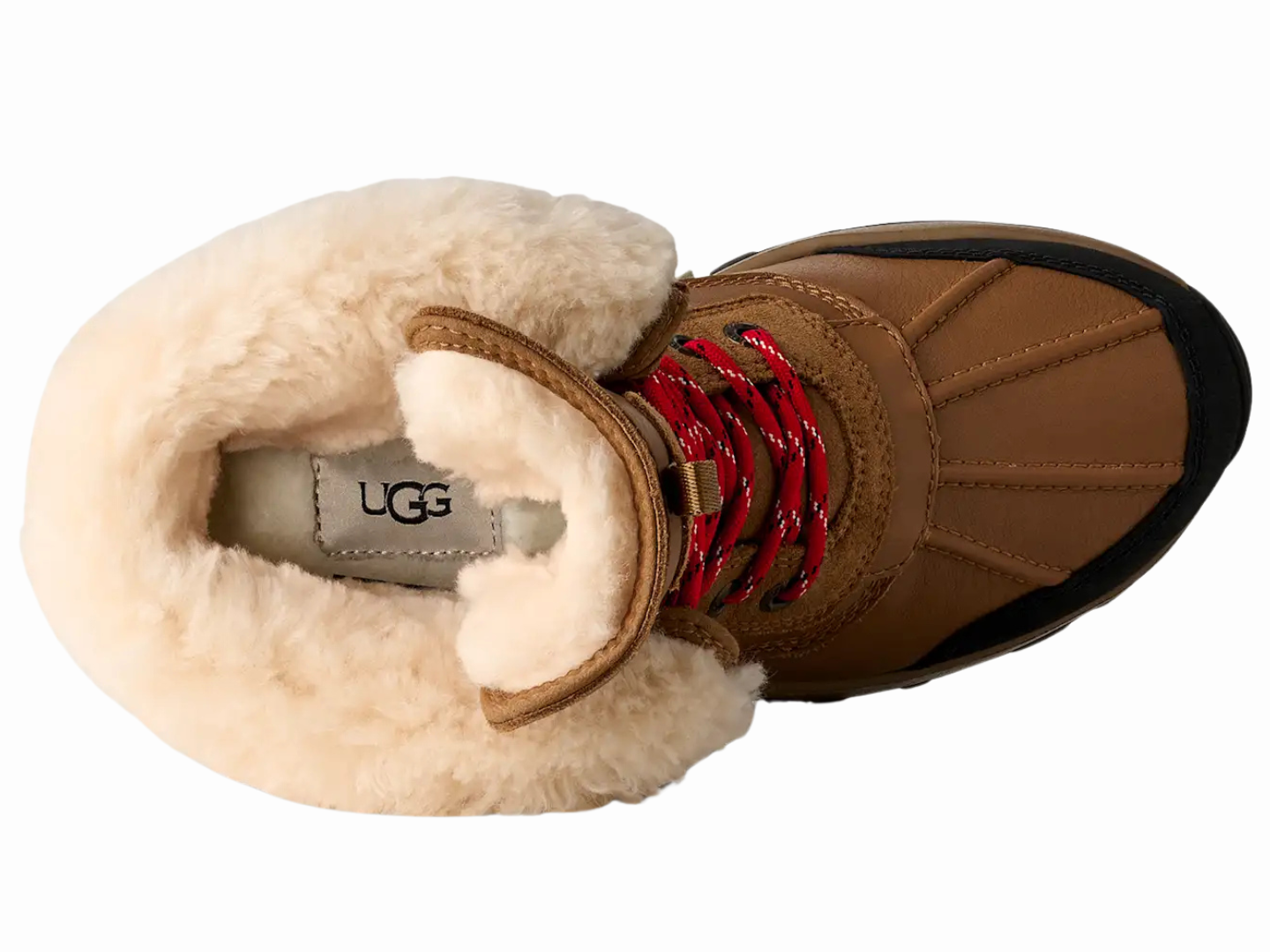 Ugg: Adirondack Boot XXV in Chestnut