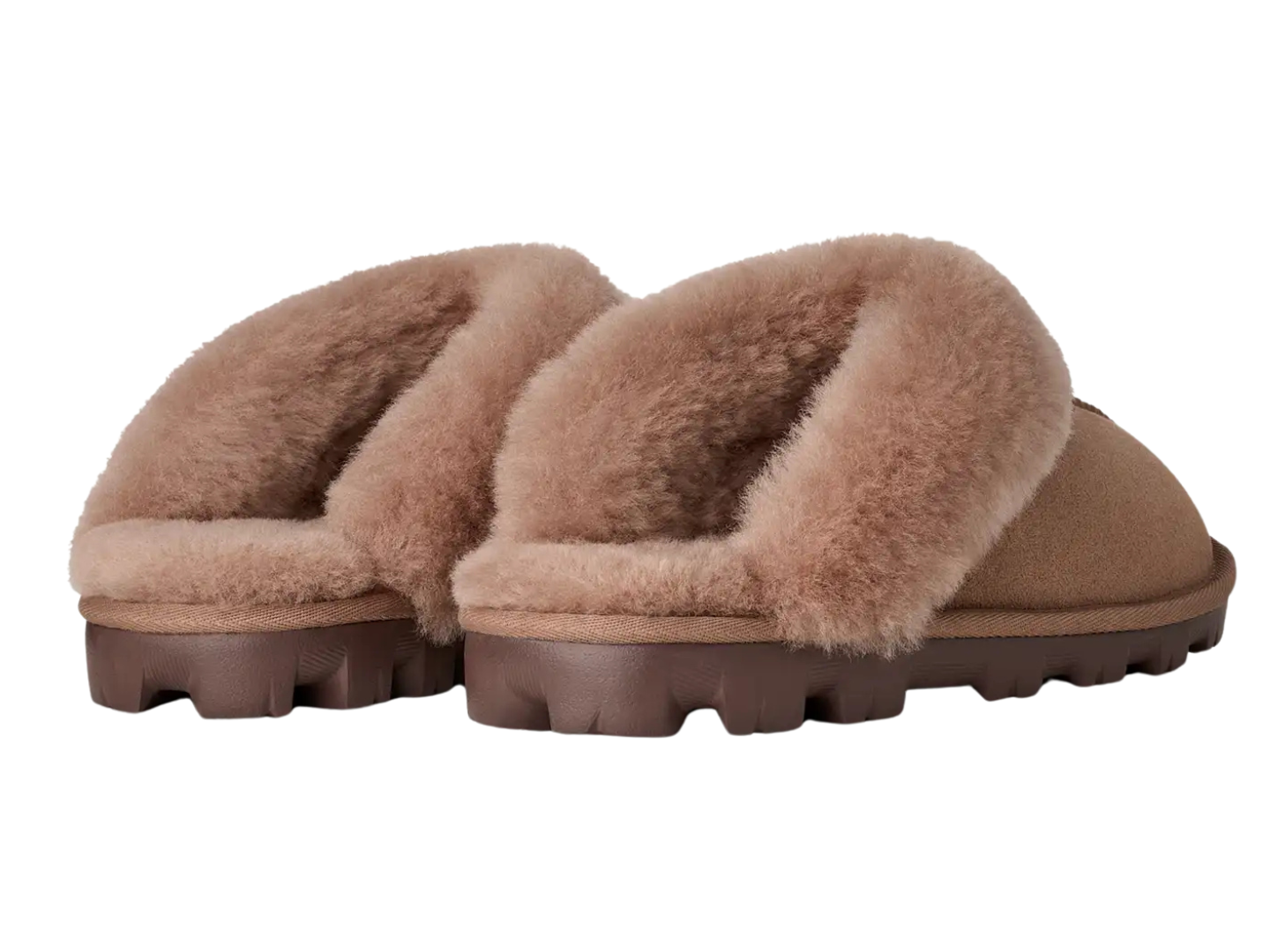 Ugg: Coquette in Rocky Oak