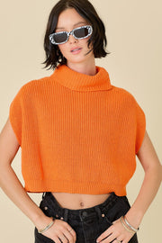 turtle neck sleeveless boxy sweater crop top - J. Cole ShoesDay + Moonturtle neck sleeveless boxy sweater crop top