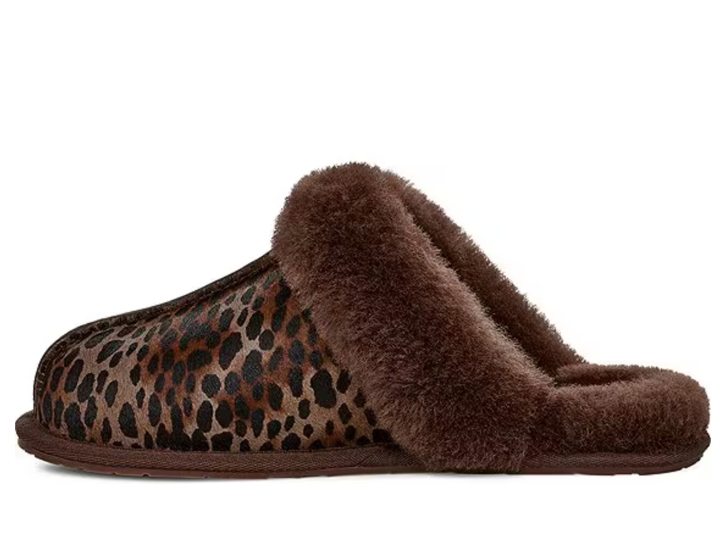 Ugg: Scuffette Caspian in Burnt Cedar - J. Cole ShoesUGGUgg: Scuffette Caspian in Burnt Cedar