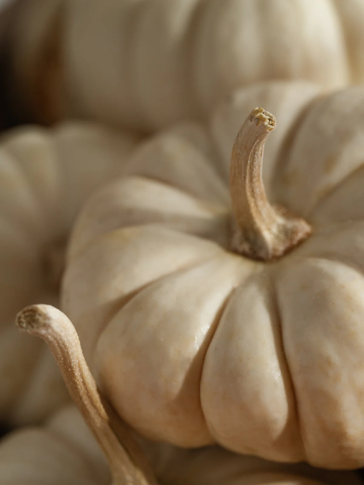Pura: White Pumpkin Smart Vial