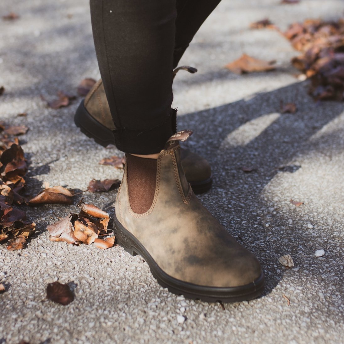 Blundstone: 585 Rustic Brown - J. Cole Shoes